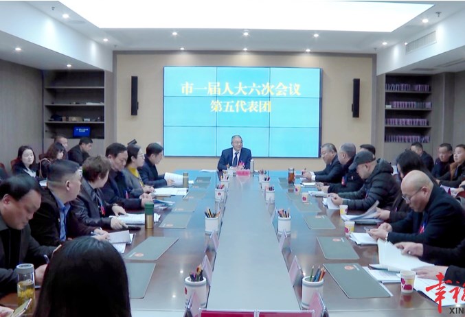 【兩會進行時】市人大代表分團審議市政府工作報告