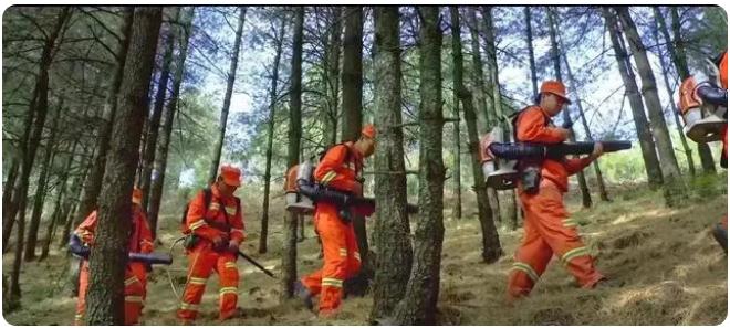 全市森林草原防火期結(jié)束，嵩明持續(xù)筑牢森林&ldquo;防火墻&rdquo;